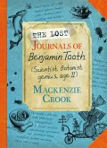 The Lost Journals of Benjamin Tooth (eBook, ePUB)