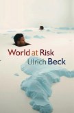 World at Risk (eBook, PDF)