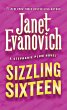 Sizzling Sixteen (eBook, ePUB) - Bild 1