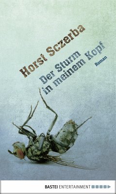 Der Sturm in meinem Kopf (eBook, ePUB) - Sczerba, Horst