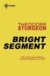 Bright Segment (eBook, ePUB) - Bild 1