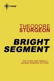 Bright Segment (eBook, ePUB)