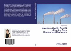 Long-term Liability for CCS within the Clean Development Mechanism