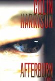 Afterburn (eBook, ePUB) Afterburn (eBook, ePUB)