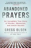 Abandoned Prayers (eBook, ePUB)