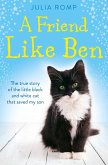 A Friend Like Ben (eBook, ePUB)