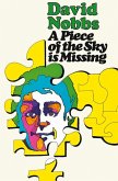 A Piece of the Sky is Missing (eBook, ePUB)