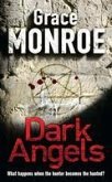 Dark Angels (eBook, ePUB)