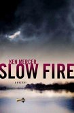 Slow Fire (eBook, ePUB)