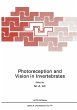Photoreception and Vision in... - Bild 1