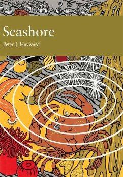 Seashore (eBook, ePUB) - Hayward, Peter J.
