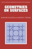 Geometries on Surfaces (eBook, PDF)