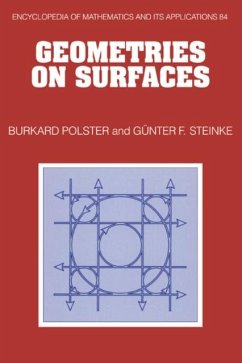 Geometries on Surfaces (eBook, PDF) - Polster, Burkard