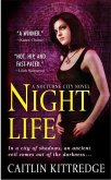 Night Life (eBook, ePUB)