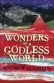 Wonders of a Godless World (eBook, ePUB)