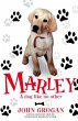 Marley (eBook, ePUB) - Bild 1