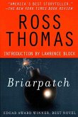 Briarpatch (eBook, ePUB)