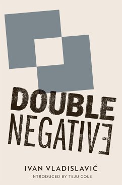 Double Negative (eBook, ePUB) - Vladislavic, Ivan