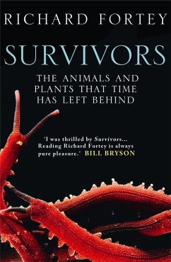 Cover Survivors (eBook, ePUB)