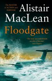 Floodgate (eBook, ePUB)