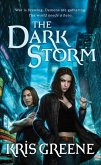 The Dark Storm (eBook, ePUB)