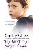 The Night the Angels Came (eBook, ePUB)