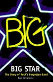 Big Star (eBook, ePUB)