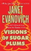 Visions of Sugar Plums (eBook, ePUB)