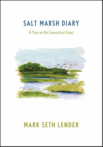 Salt Marsh Diary (eBook, ePUB)