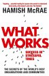 What Works (eBook, ePUB) - Bild 1
