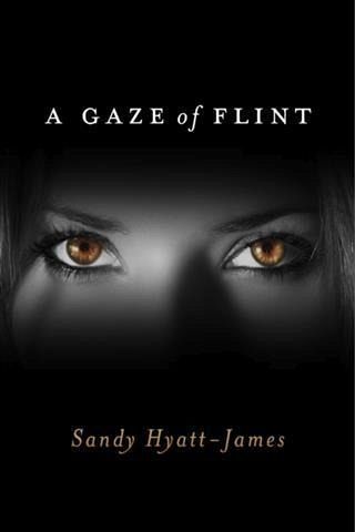 Gaze Of Flint (eBook, ePUB)
