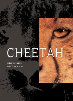 Cheetah (eBook, ePUB) - Hunter, Luke