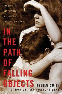 In the Path of Falling Objects (eBook, ePUB) - Smith, Andrew