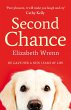 Second Chance (eBook, ePUB) - Bild 1
