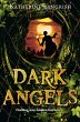 Dark Angels (eBook, ePUB) - Bild 1