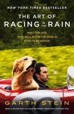 The Art of Racing in the Rain (eBook, ePUB) - Stein, Garth