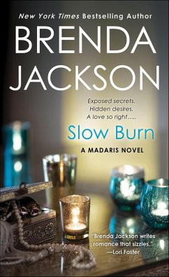 Cover Slow Burn (eBook, ePUB)