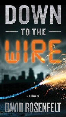 Down to the Wire (eBook, ePUB) - Rosenfelt, David