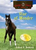 Star of Wonder (eBook, ePUB)