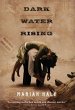 Dark Water Rising (eBook, ePUB) - Bild 1
