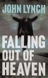 Falling out of Heaven (eBook, ePUB) - Bild 1
