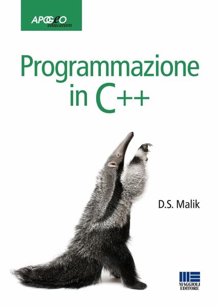 Programmazione in C++ Programmazione in C++