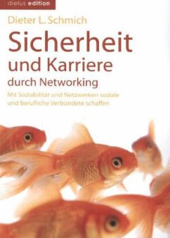 Sicherheit und Karriere durch Networking - Schmich, Dieter L.