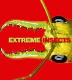 Extreme Insects (eBook, ePUB)