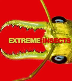 Extreme Insects (eBook, ePUB) - Jones, Richard
