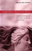 Imagination, Illness and Injury (eBook, ePUB)