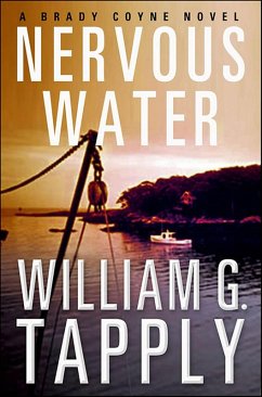 Cover Nervous Water (eBook, ePUB)