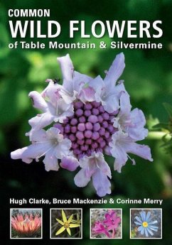 Cover Common Wild Flowers of Table Mountain & Silvermine (eBook, PDF)