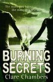 Burning Secrets (eBook, ePUB)