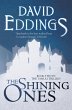 The Shining Ones (eBook, ePUB) - Bild 1